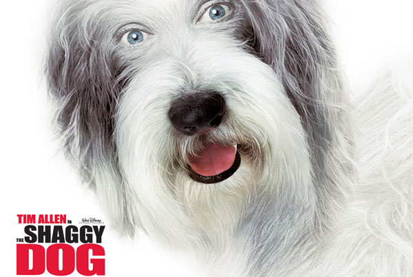 The Shaggy Dog (2006)